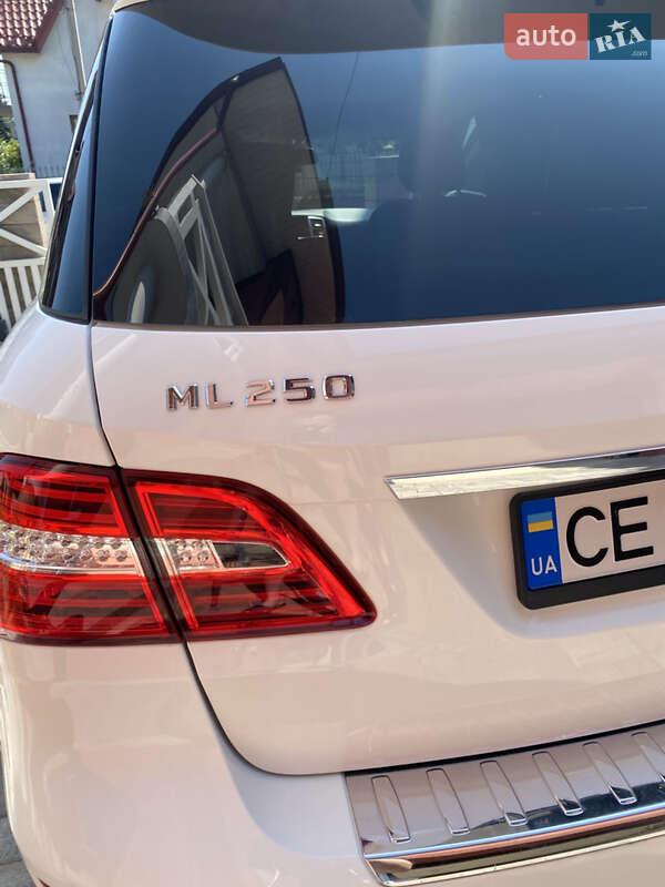 Внедорожник / Кроссовер Mercedes-Benz M-Class 2015 в Заставной фото 32 Внедорожник / Кроссовер Mercedes-Benz M-Class 2015 в Заставной