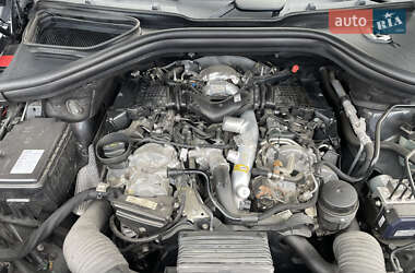 Внедорожник / Кроссовер Mercedes-Benz M-Class 2013 в 