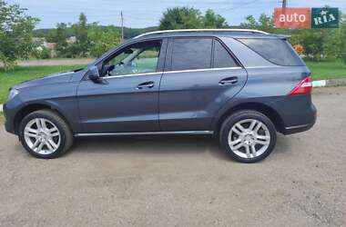 Внедорожник / Кроссовер Mercedes-Benz M-Class 2013 в 