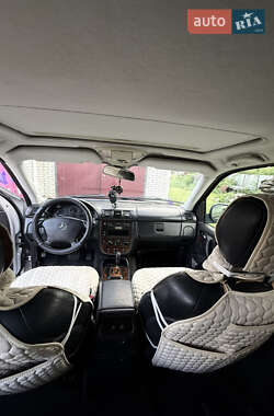 Внедорожник / Кроссовер Mercedes-Benz M-Class 2001 в 