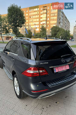 Внедорожник / Кроссовер Mercedes-Benz M-Class 2014 в 