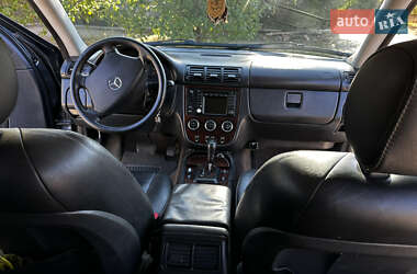 Внедорожник / Кроссовер Mercedes-Benz M-Class 2002 в 