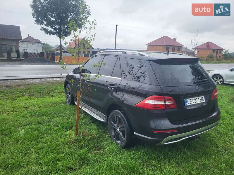 Внедорожник / Кроссовер Mercedes-Benz M-Class 2011 в Черновцах фото 8 Внедорожник / Кроссовер Mercedes-Benz M-Class 2011 в Черновцах