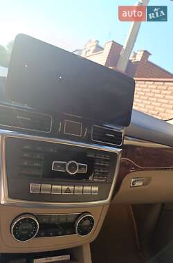 Позашляховик / Кросовер Mercedes-Benz M-Class 2013 в 