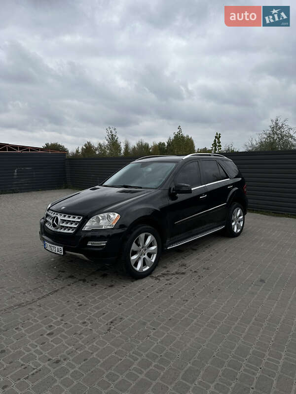 Mercedes-Benz M-Class 2010