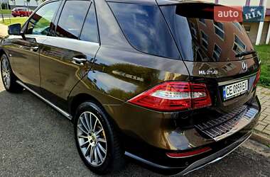 Позашляховик / Кросовер Mercedes-Benz M-Class 2011 в 