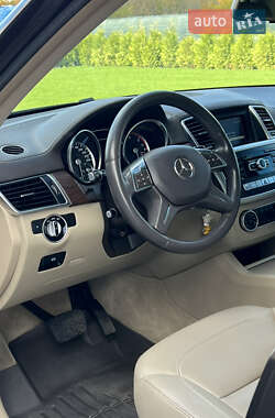 Позашляховик / Кросовер Mercedes-Benz M-Class 2013 в 