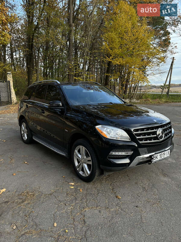 Mercedes-Benz M-Class 2011 Mercedes-Benz M-Class 2011
