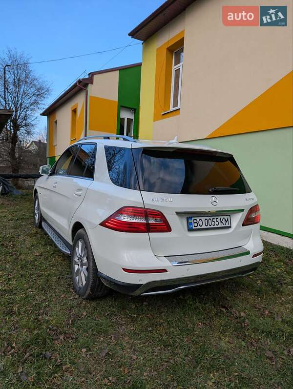 Внедорожник / Кроссовер Mercedes-Benz M-Class 2011 в Тернополе