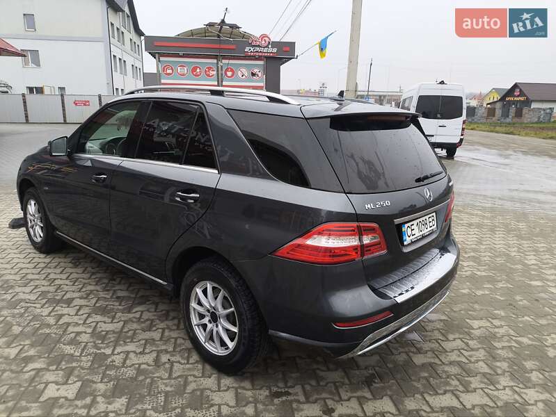 Позашляховик / Кросовер Mercedes-Benz M-Class 2011 в Чернівцях фото 5 Позашляховик / Кросовер Mercedes-Benz M-Class 2011 в Чернівцях