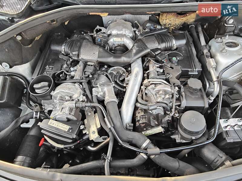 Внедорожник / Кроссовер Mercedes-Benz M-Class 2006 в Черновцах фото 28 Внедорожник / Кроссовер Mercedes-Benz M-Class 2006 в Черновцах