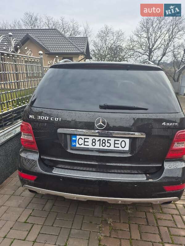 Внедорожник / Кроссовер Mercedes-Benz M-Class 2010 в Черновцах фото 3 Внедорожник / Кроссовер Mercedes-Benz M-Class 2010 в Черновцах