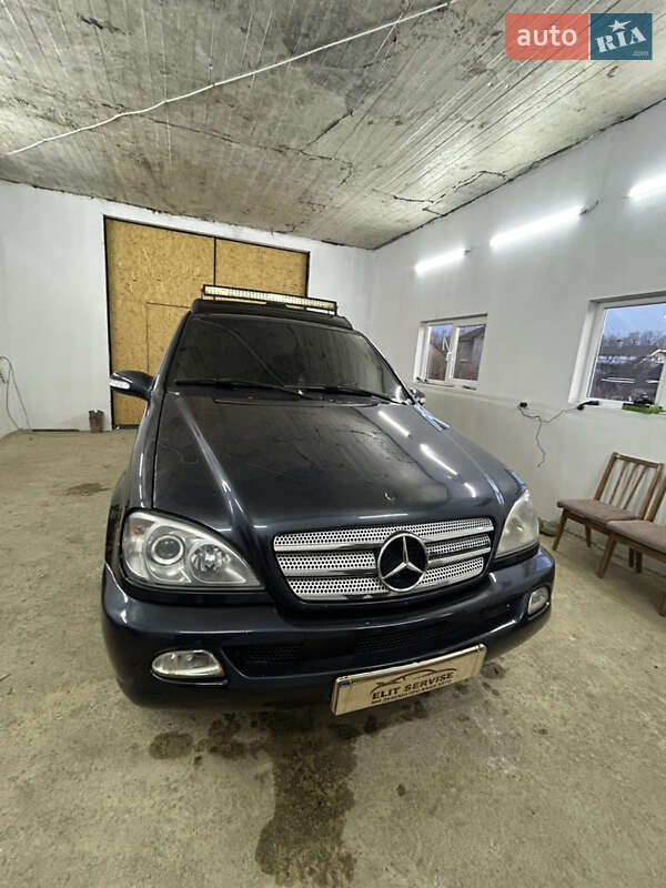 Mercedes-Benz M-Class 2003 Mercedes-Benz M-Class 2003