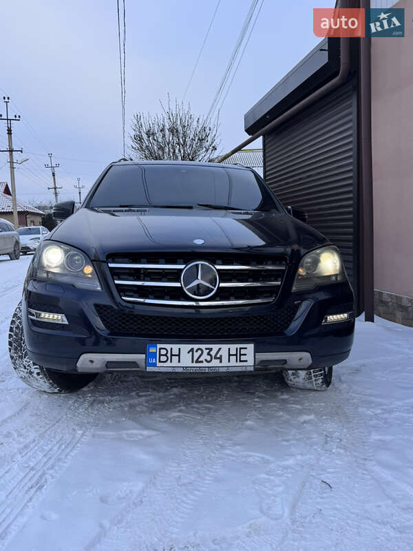 Mercedes-Benz M-Class 2010 Mercedes-Benz M-Class 2010