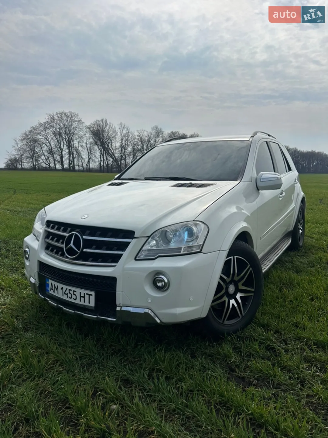 2010 Mercedes-Benz M-klasse - фото 1