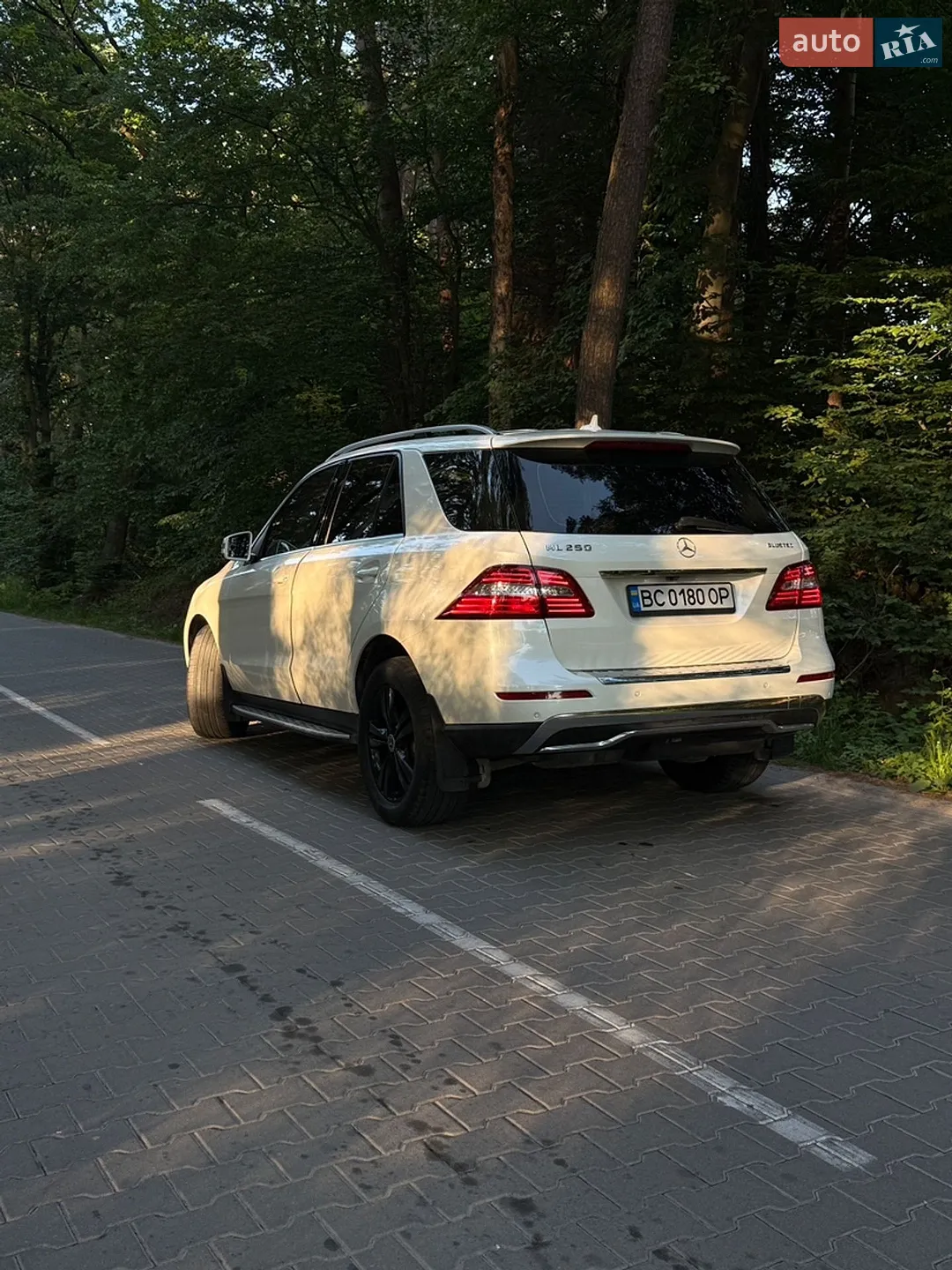 2013 Mercedes-Benz M-klasse - мініатюра 4