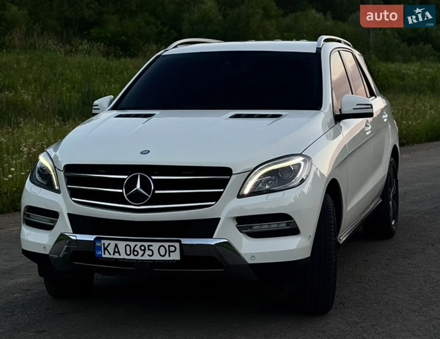 2012 Mercedes-Benz M-klasse - фото 1