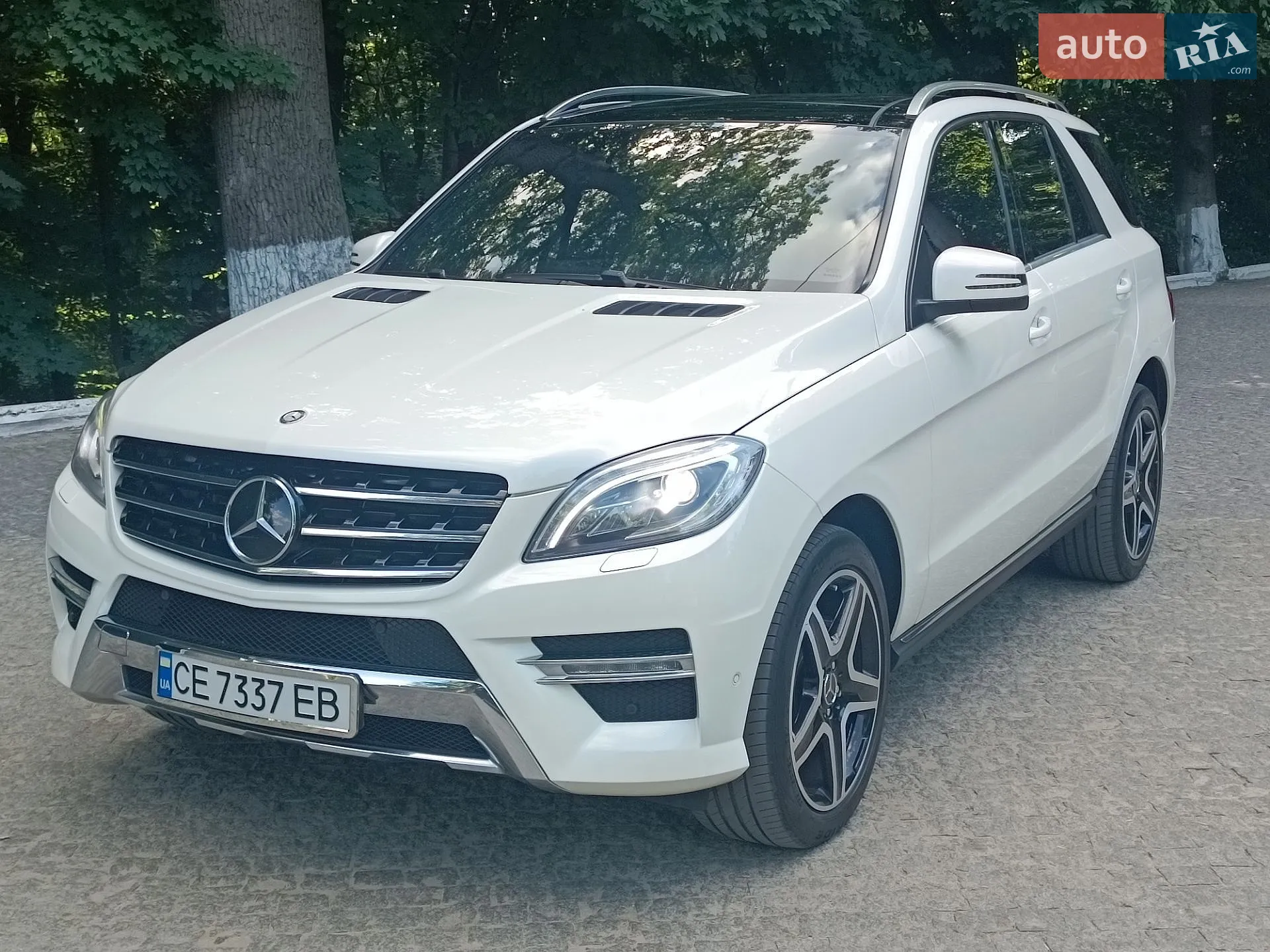 2013 Mercedes-Benz M-klasse - мініатюра 12