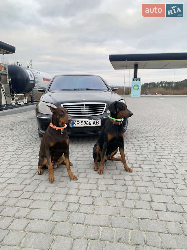 Седан Mercedes-Benz S-Class 2002 в Николаеве