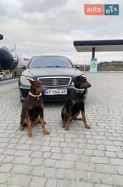 Седан Mercedes-Benz S-Class 2002 в 
