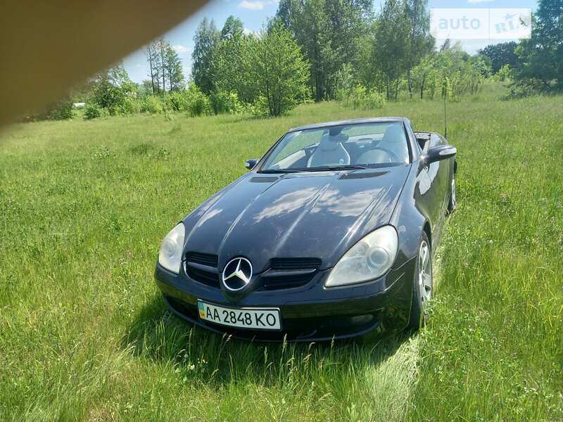Родстер Mercedes-Benz SLK-Class 2004 в Києві