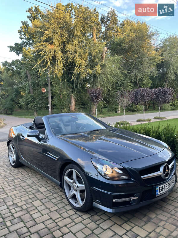 Родстер Mercedes-Benz SLK-Class 2012 в Кривом Роге