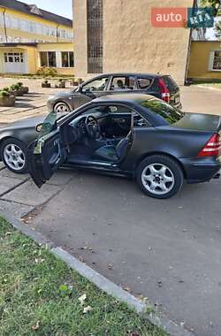 Родстер Mercedes-Benz SLK-Class 2003 в 