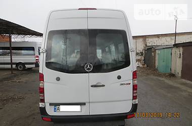 Микроавтобус Mercedes-Benz Sprinter 2009 в 