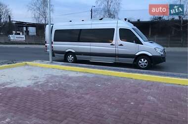 Микроавтобус Mercedes-Benz Sprinter 2009 в 