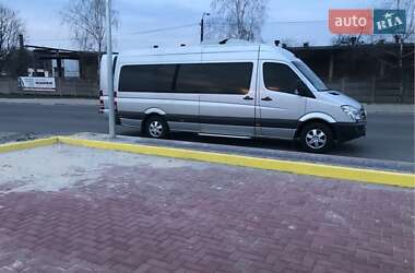 Микроавтобус Mercedes-Benz Sprinter 2009 в Березане