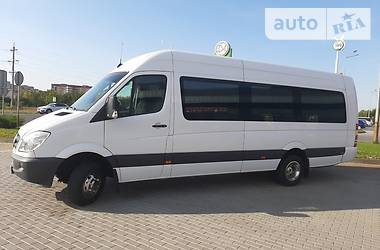 Мікроавтобус Mercedes-Benz Sprinter 2010 в Ужгороді