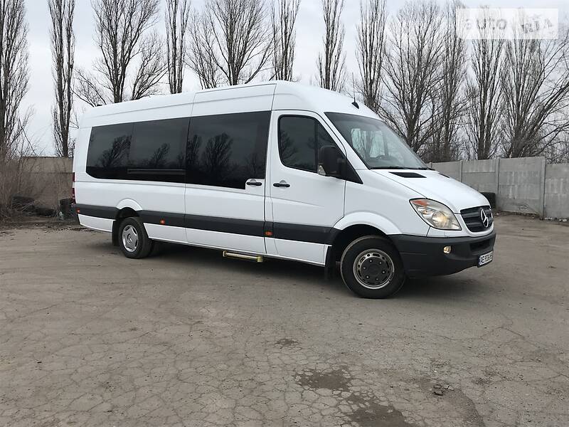 Микроавтобус Mercedes-Benz Sprinter 2010 в Кривом Роге