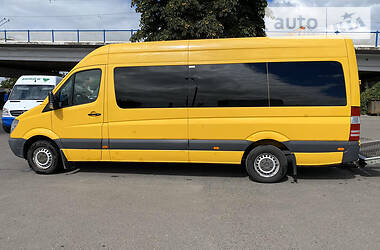 Микроавтобус Mercedes-Benz Sprinter 2010 в 