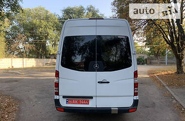 Микроавтобус Mercedes-Benz Sprinter 2010 в Кривом Роге