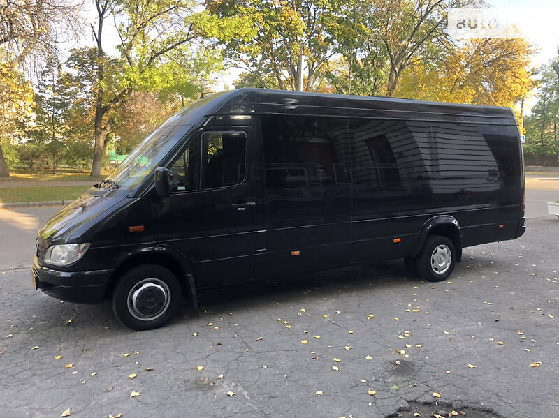 Микроавтобус Mercedes-Benz Sprinter 2003 в Кременчуге