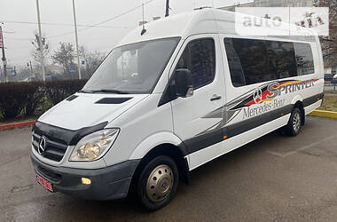 Микроавтобус Mercedes-Benz Sprinter 2011 в Житомире