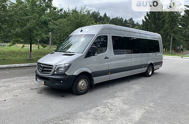 Мікроавтобус Mercedes-Benz Sprinter 2014 в Шепетівці