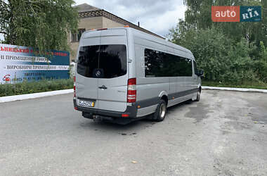 Мікроавтобус Mercedes-Benz Sprinter 2014 в Шепетівці