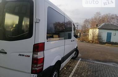 Микроавтобус Mercedes-Benz Sprinter 2009 в Стрые