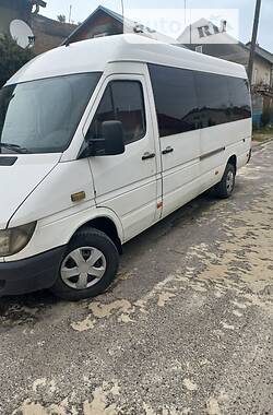 Микроавтобус Mercedes-Benz Sprinter 2003 в Николаеве