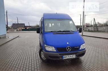 Микроавтобус Mercedes-Benz Sprinter 2004 в Житомире