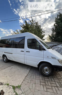 Микроавтобус Mercedes-Benz Sprinter 2003 в Харькове