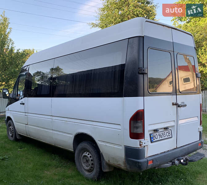 Микроавтобус Mercedes-Benz Sprinter 1995 в Бережанах