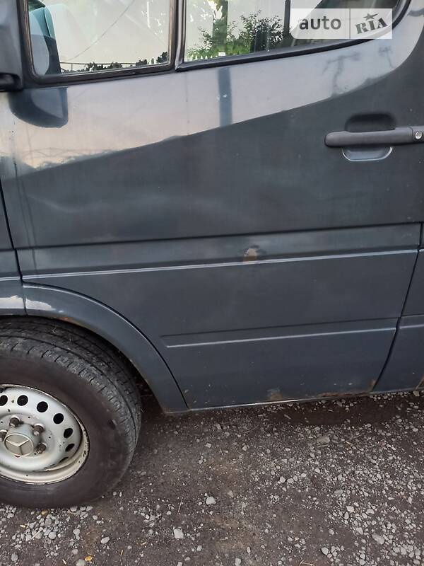 Микроавтобус Mercedes-Benz Sprinter 2005 в Берегово