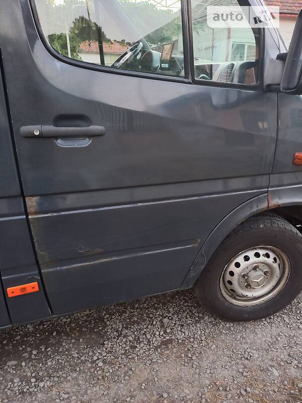 Микроавтобус Mercedes-Benz Sprinter 2005 в Берегово