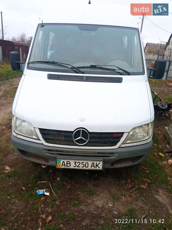Мікроавтобус Mercedes-Benz Sprinter 2005 в Літині