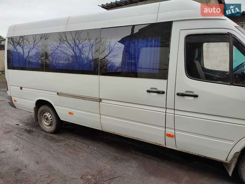 Микроавтобус Mercedes-Benz Sprinter 2002 в Доброполье