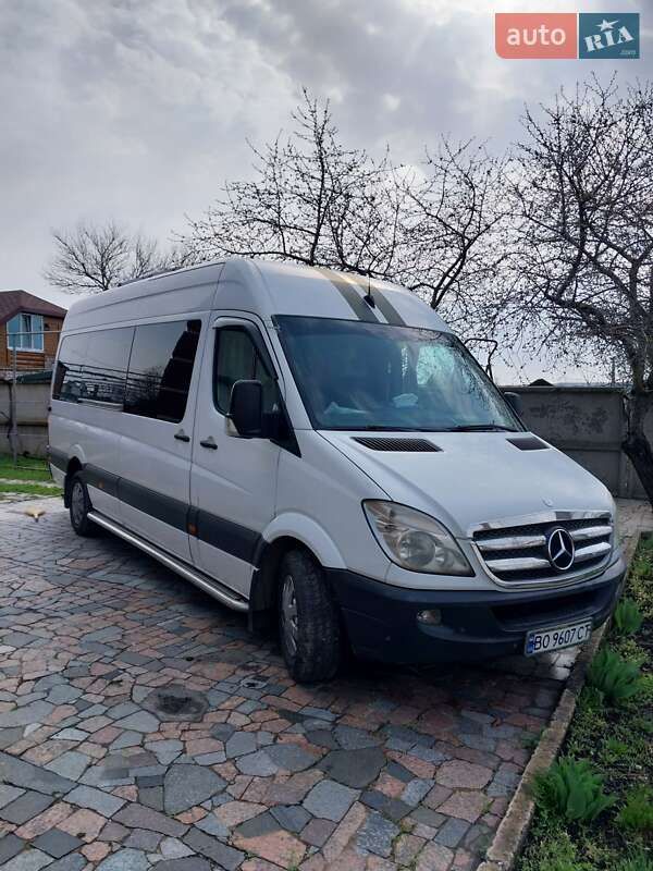 Дом на колесах Mercedes-Benz Sprinter 2012 в Петрове