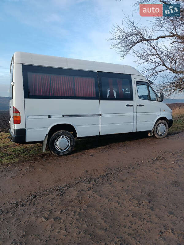 Микроавтобус Mercedes-Benz Sprinter 1999 в Подгайцах