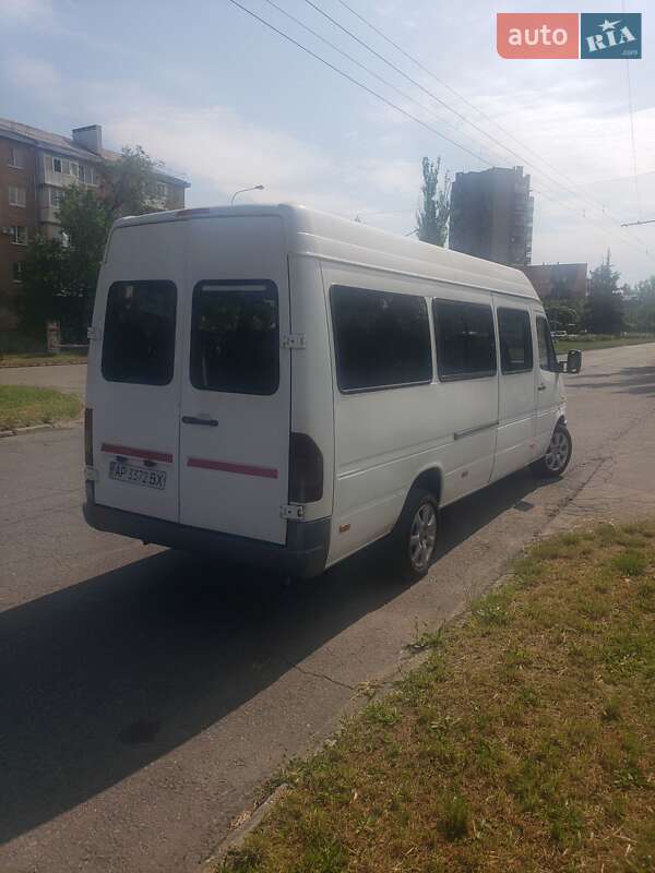 Микроавтобус Mercedes-Benz Sprinter 1997 в Запорожье
